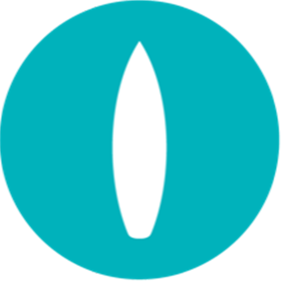 surf fhacademy logo